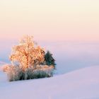 Der Winter kann so schön sein...