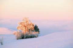 Der Winter kann so schön sein...