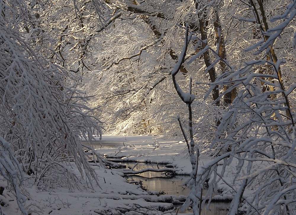 Der Winter kann soooo schön sein...