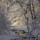 Der Winter kann soooo schön sein...