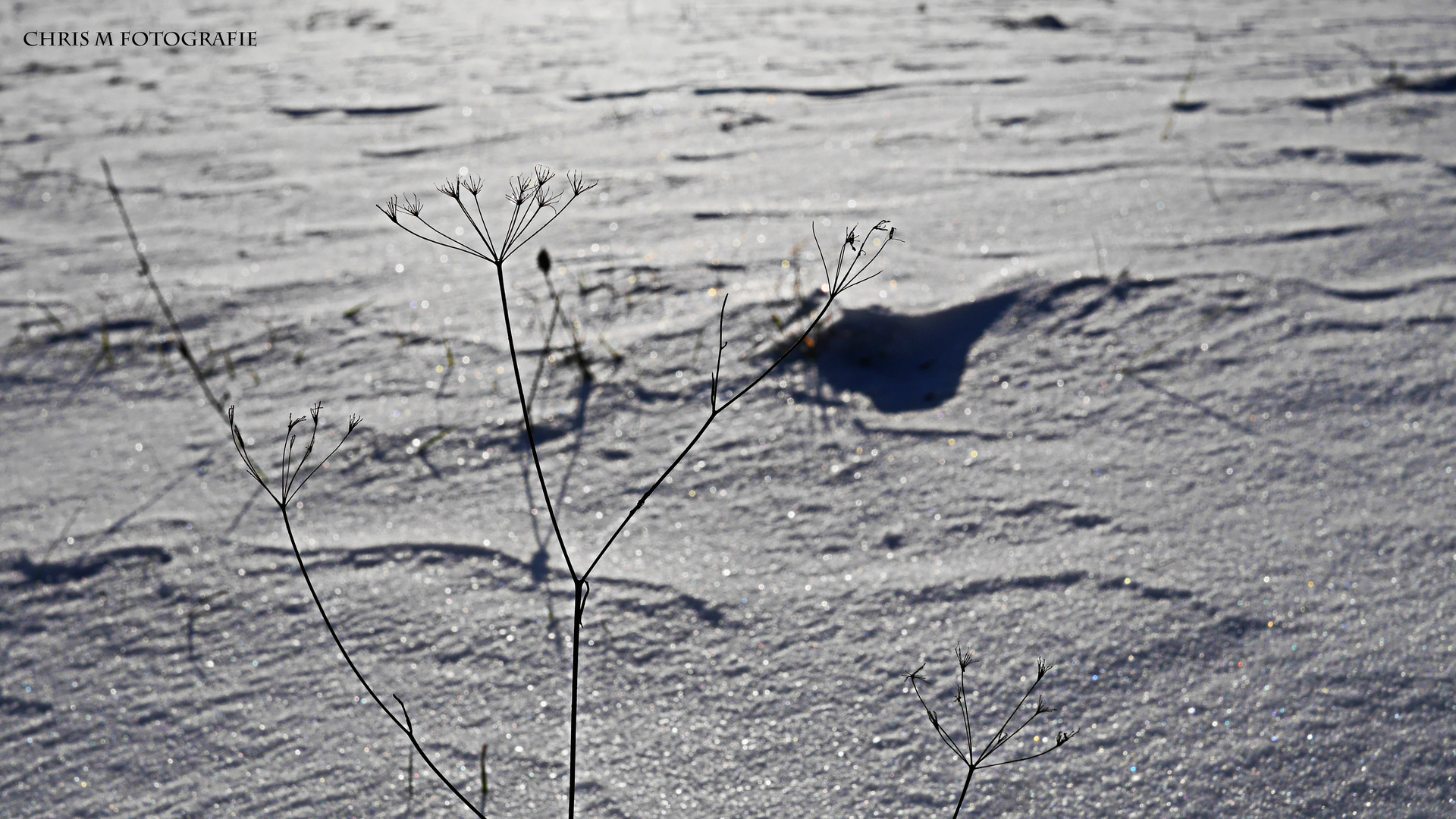 Der Winter kehrt ein