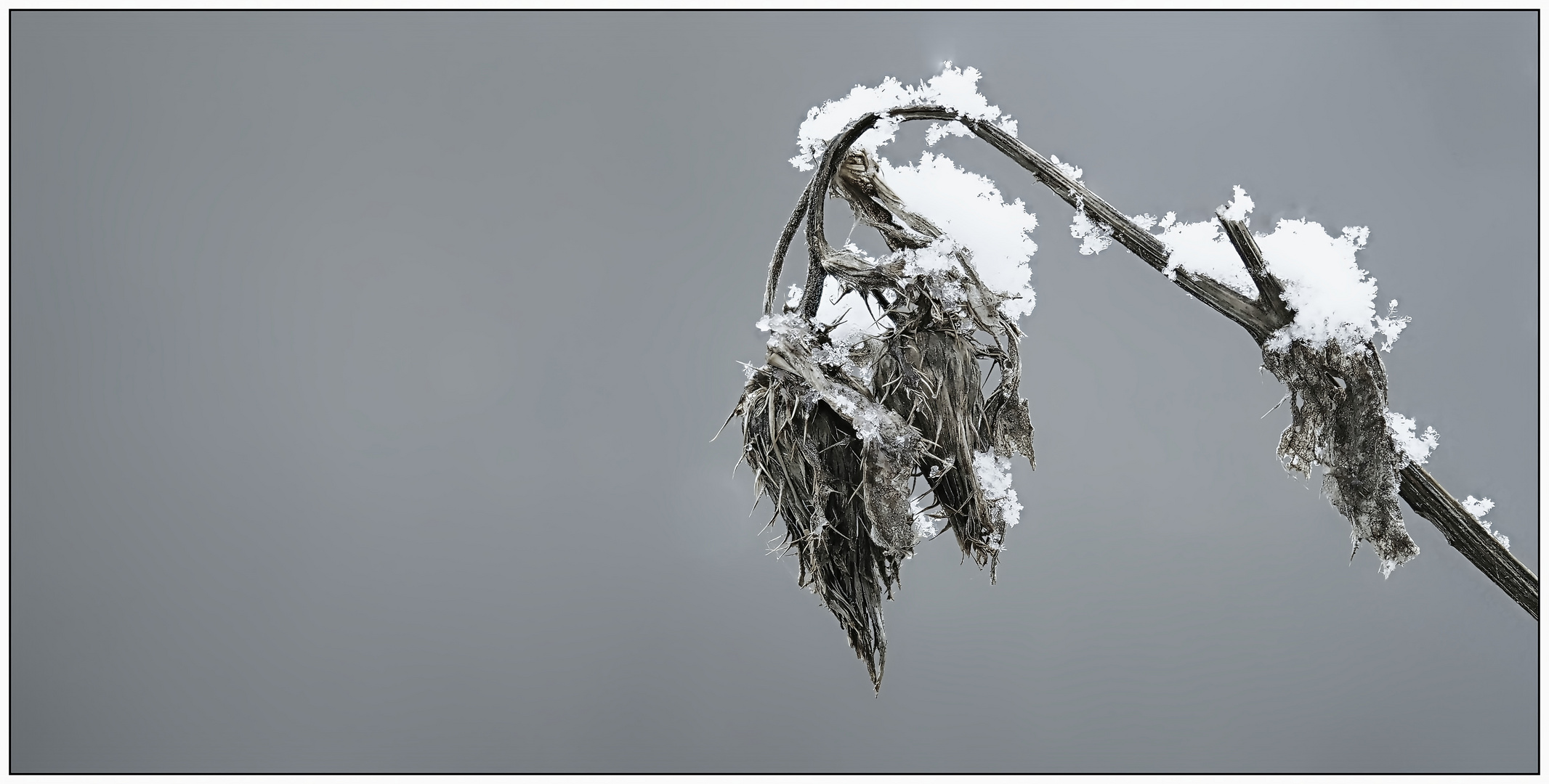 der Winter kehrt zurück