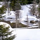 Der Winter kehrt zurück....