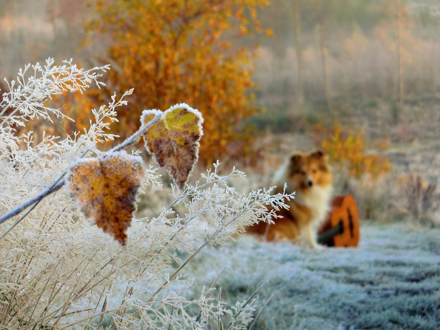 Der Winter klopft an