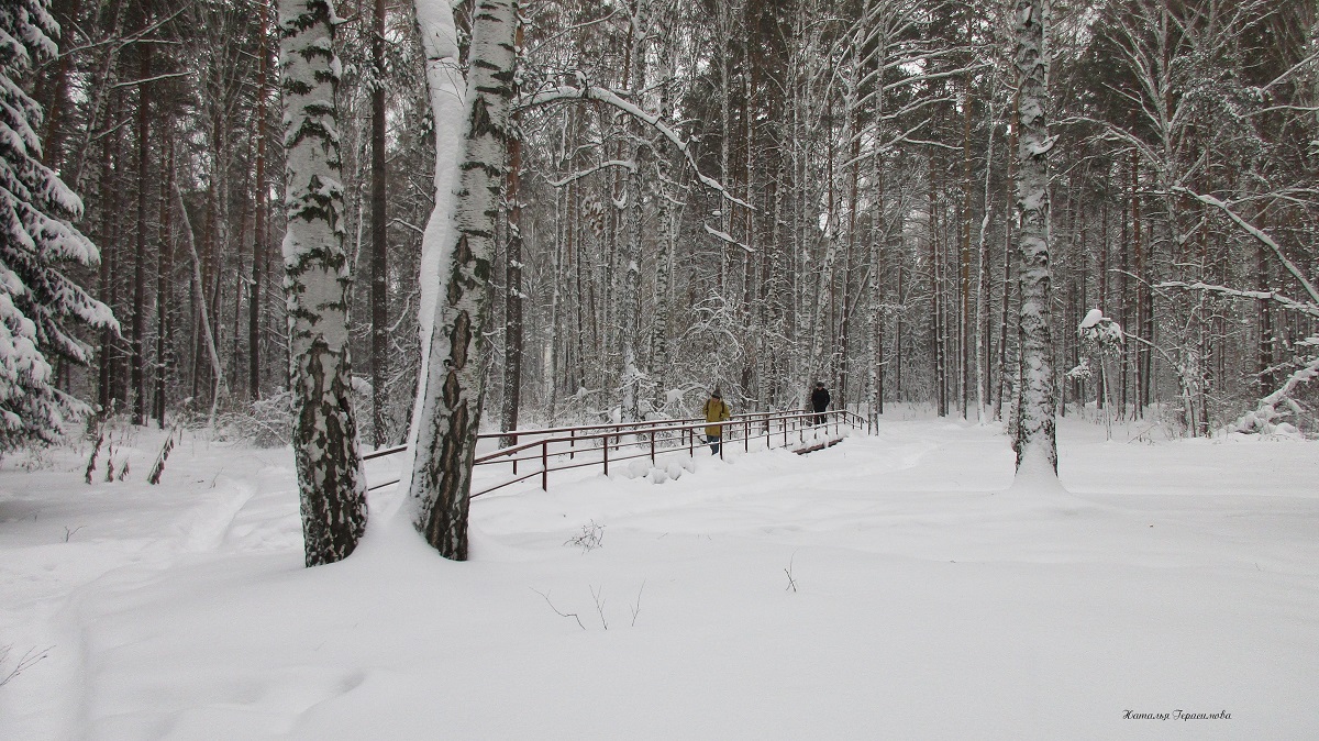 Der Winter klopfte an das Fensterchen und im Wald rief...