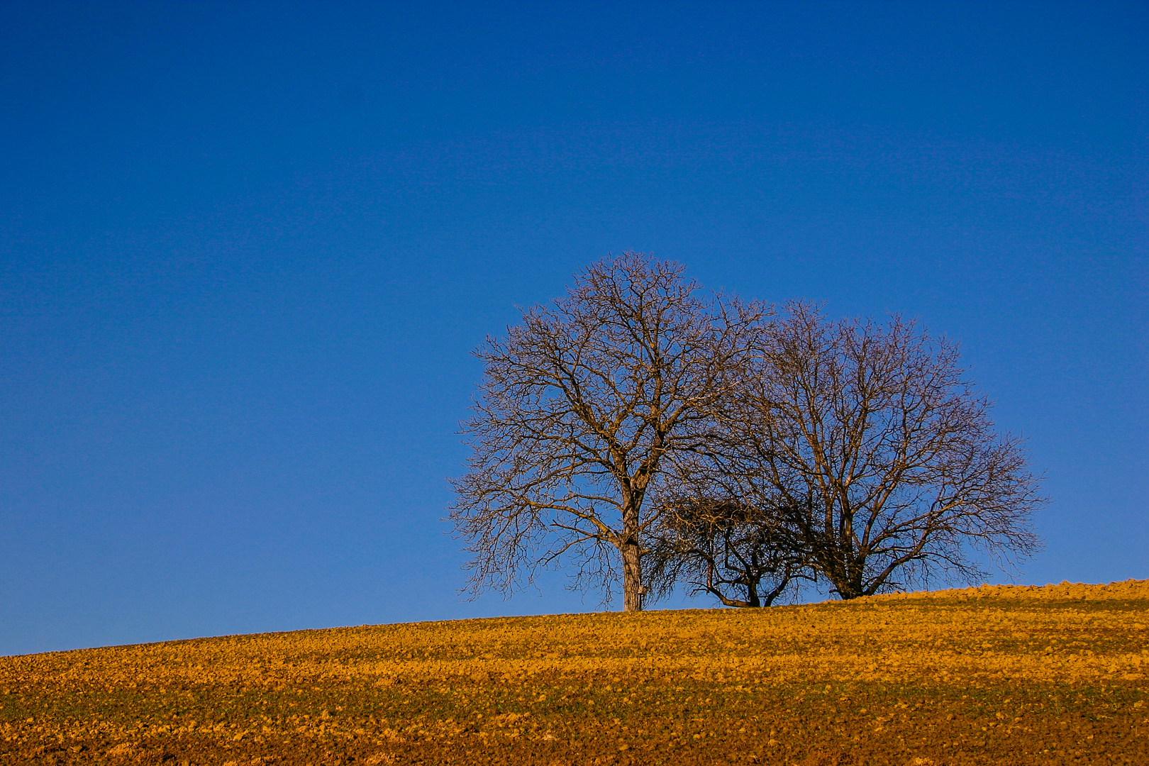 Der Winter kommt