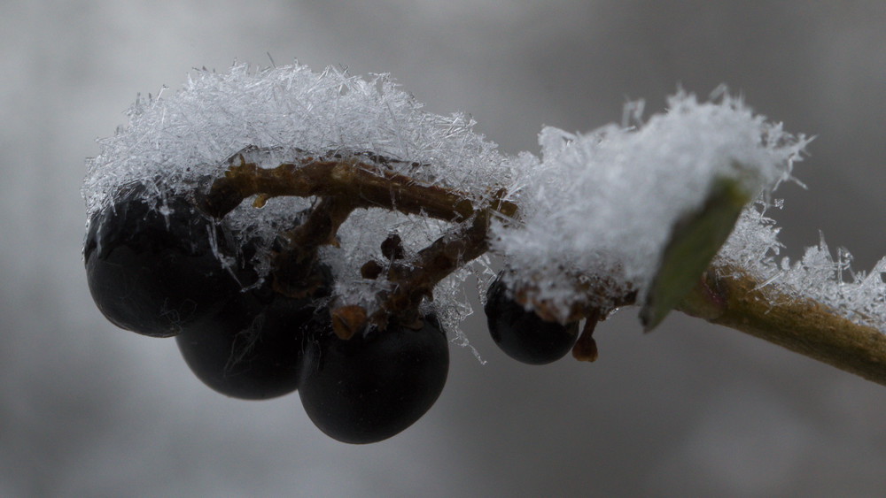 Der Winter kommt