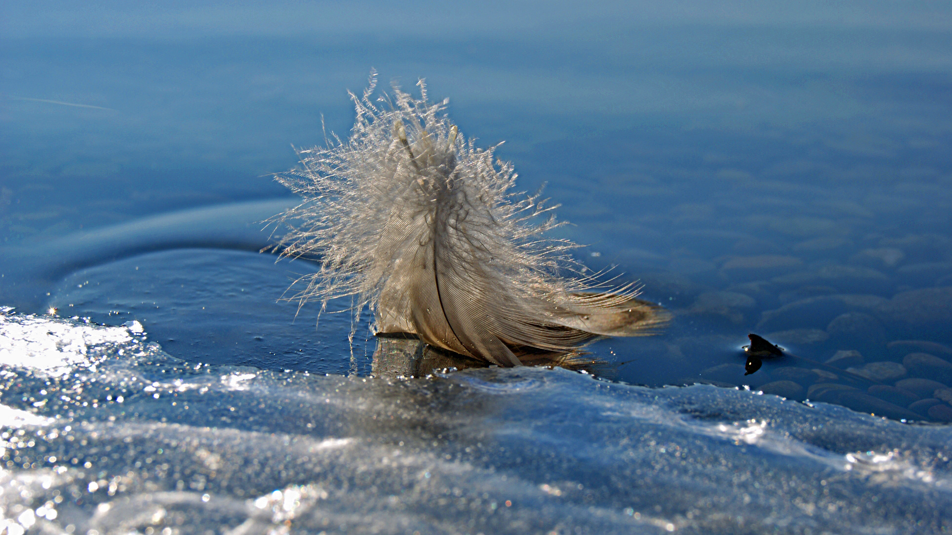 der Winter kommt