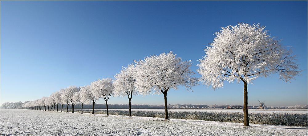 Der Winter kommt... #2