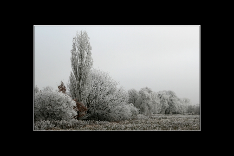 Der Winter kommt 2