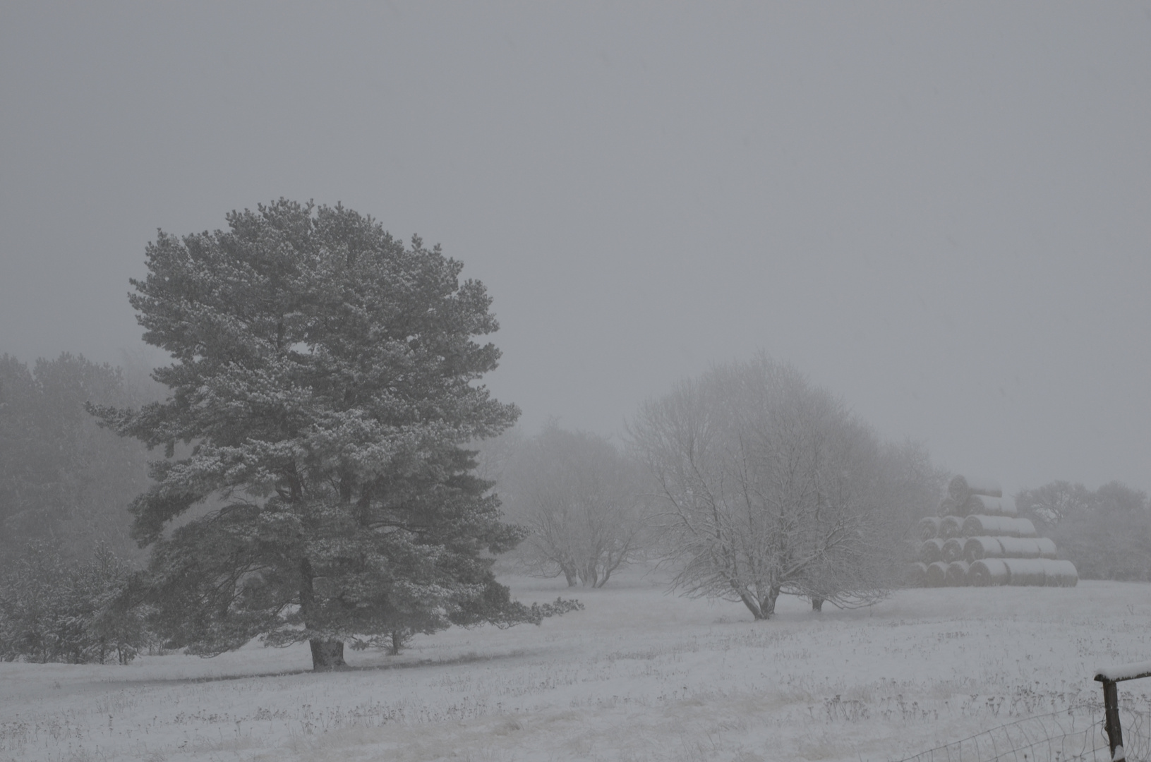 Der Winter kommt 2