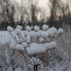 der winter kommt