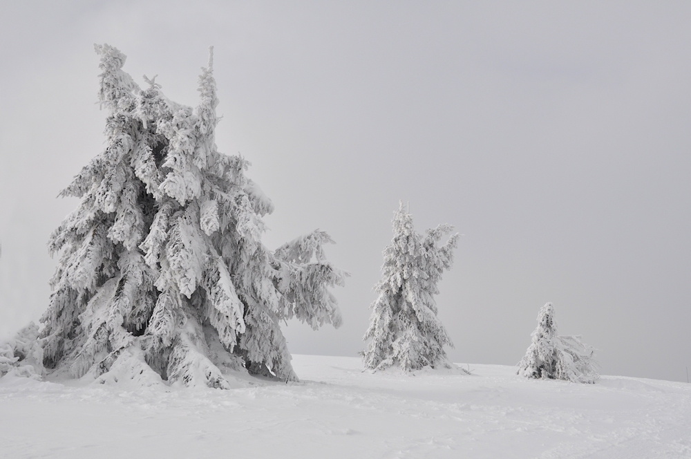 der WINTER kommt...