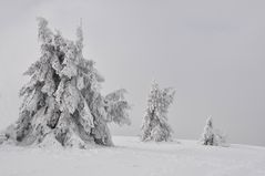 der WINTER kommt...