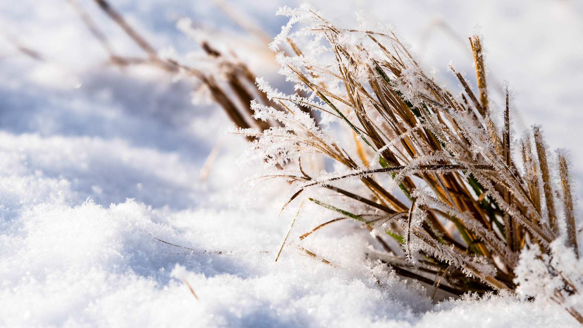 Der Winter kommt