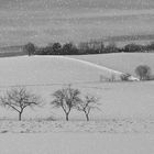 der Winter kommt....