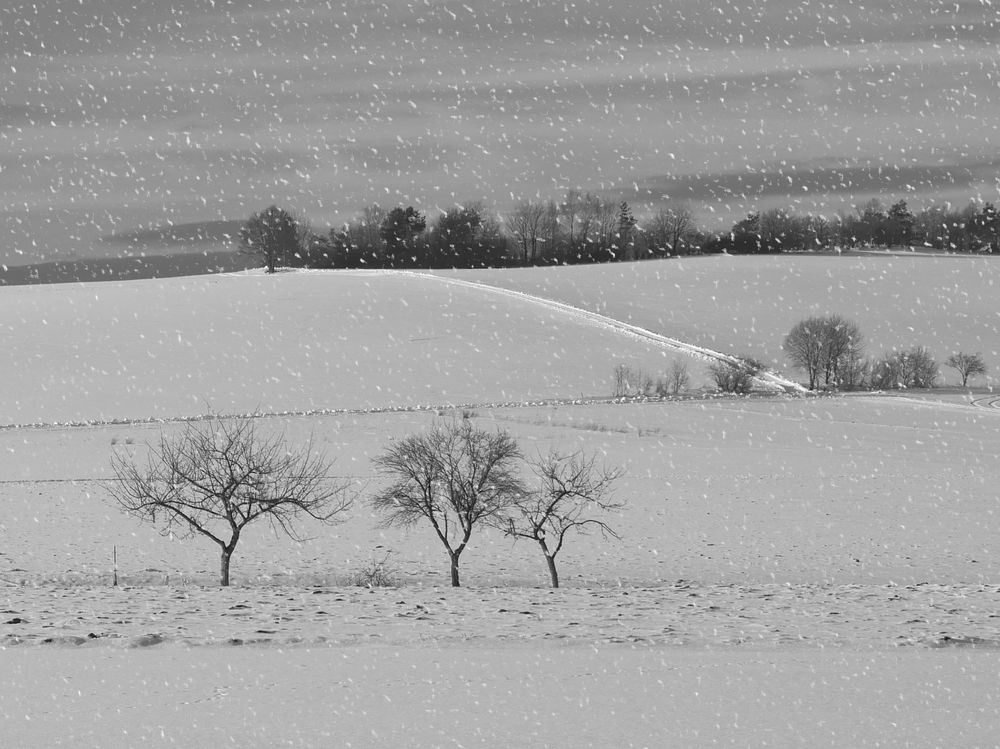 der Winter kommt....