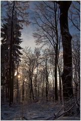 Der Winter kommt