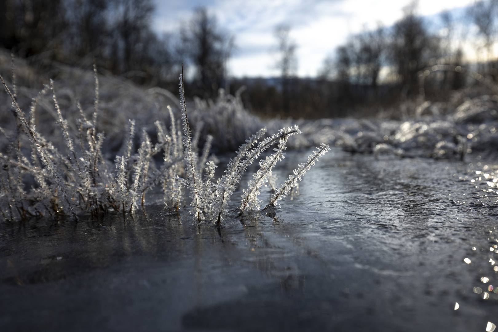 ..der Winter kommt