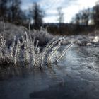 ..der Winter kommt