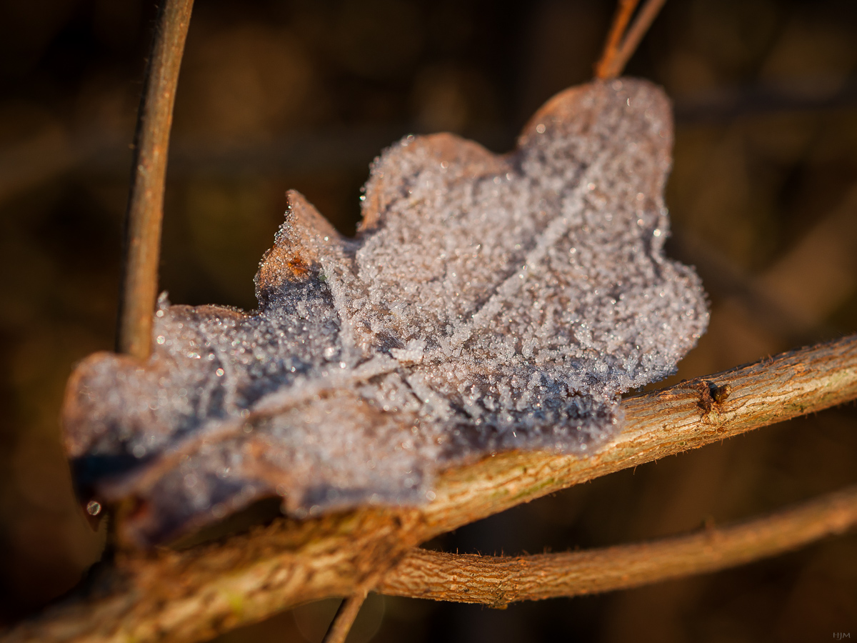 Der Winter kommt