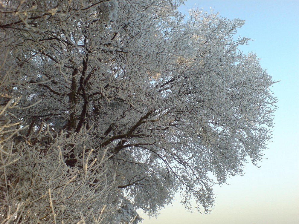 Der Winter kommt