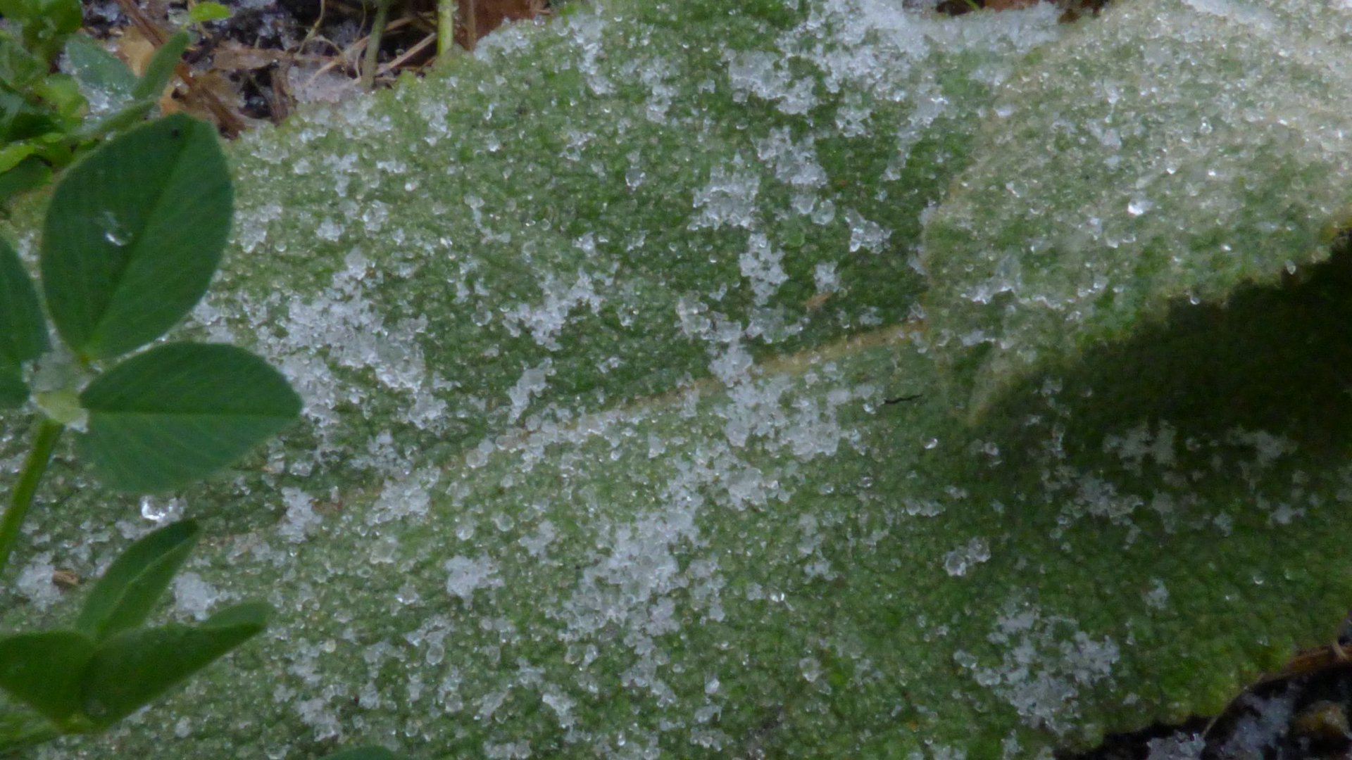 Der Winter kommt 