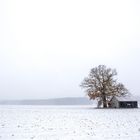 Der Winter kommt auf die Alb