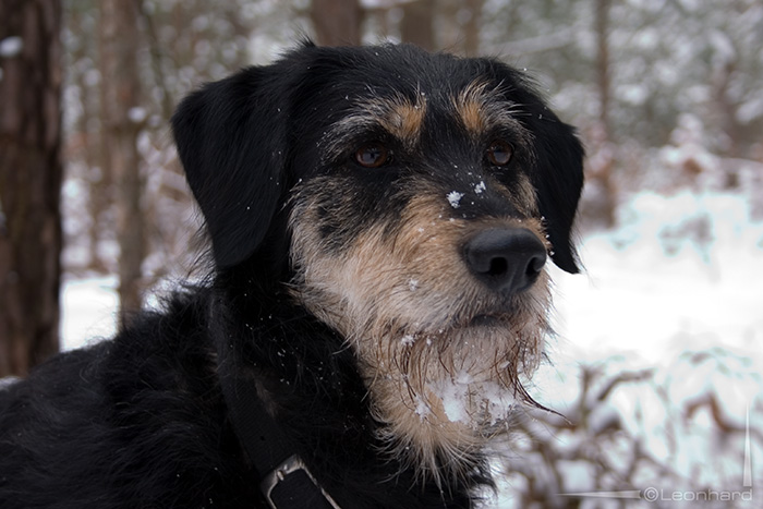 Der Winter kommt bald ;-)