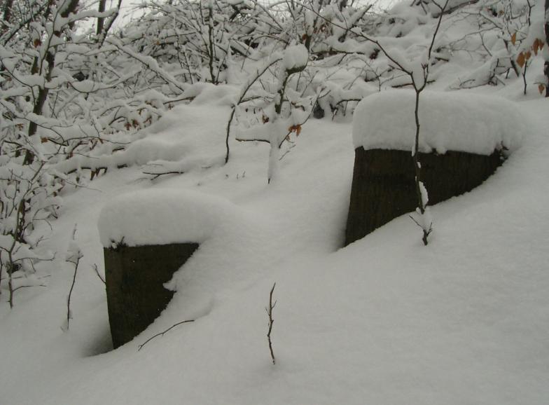 Der Winter kommt bald wieder