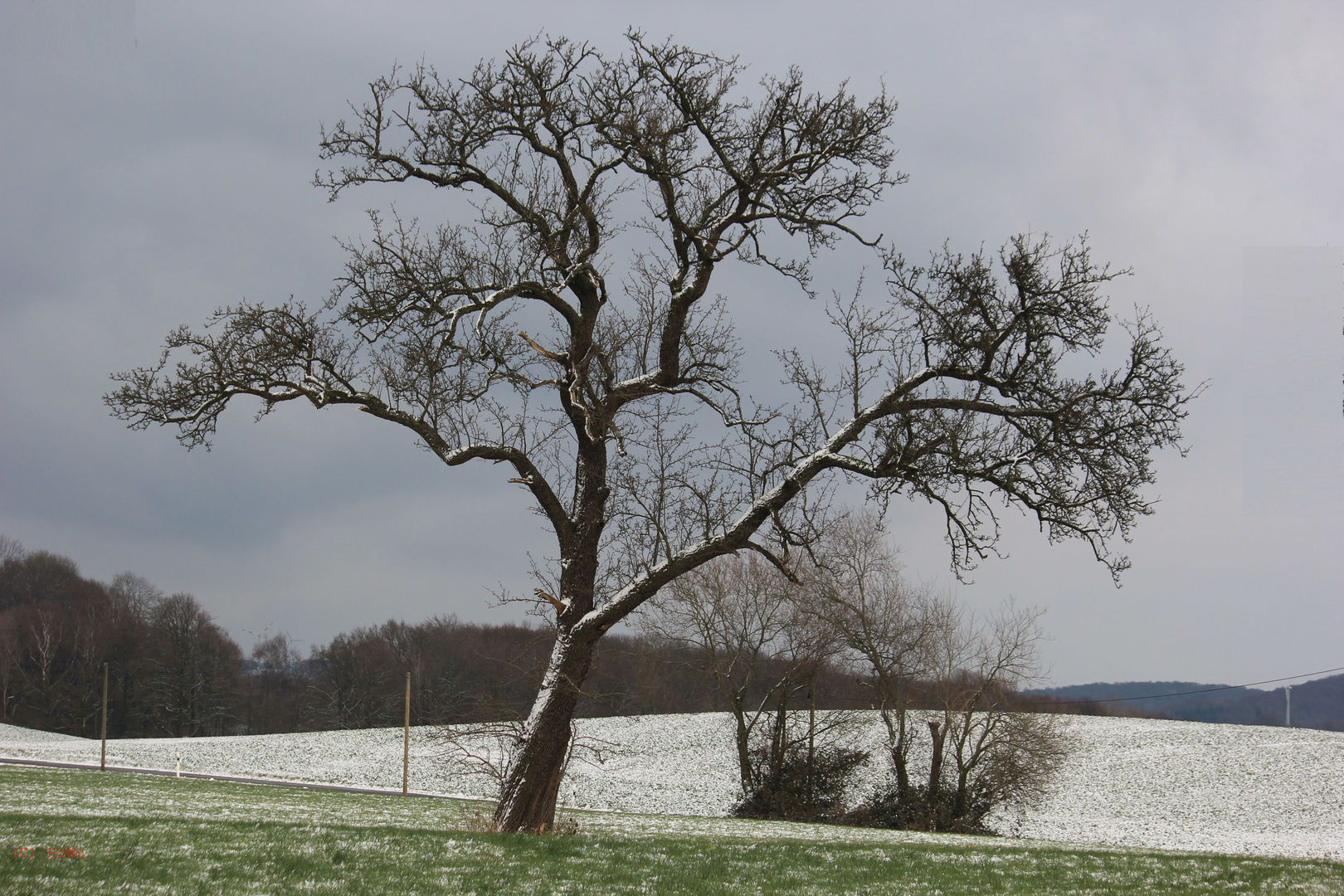 Der Winter kommt