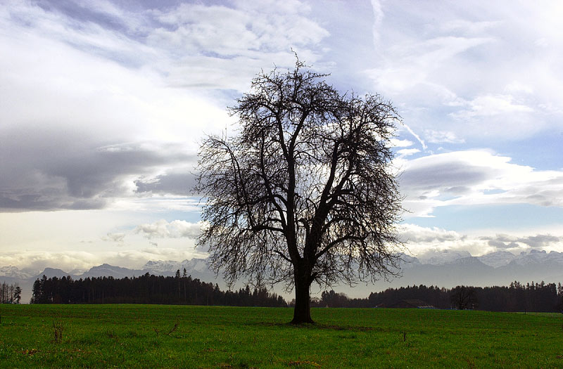 Der winter kommt