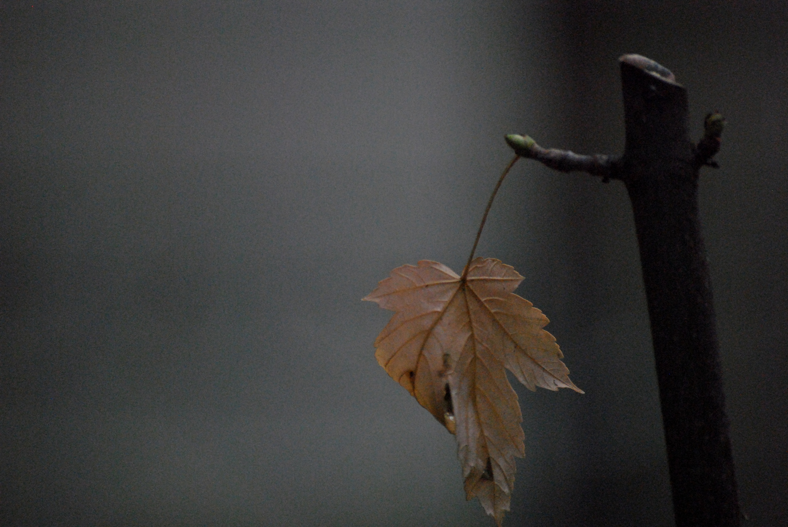 der Winter kommt