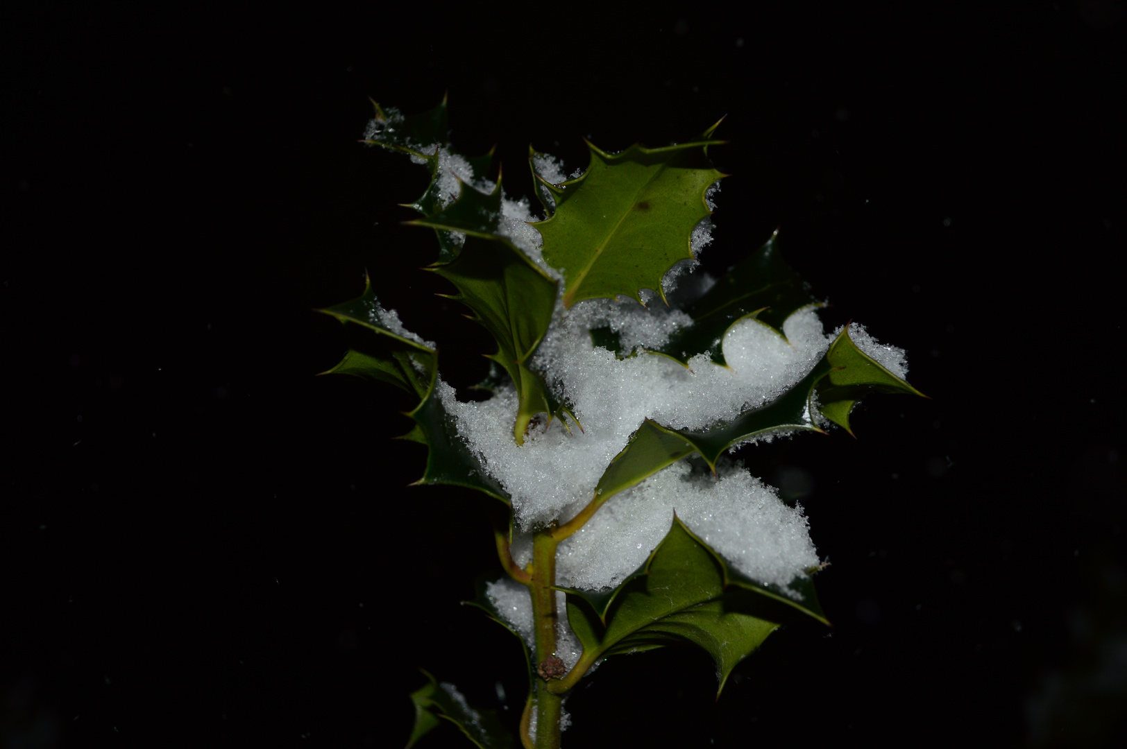 Der Winter kommt immer plötzlich.