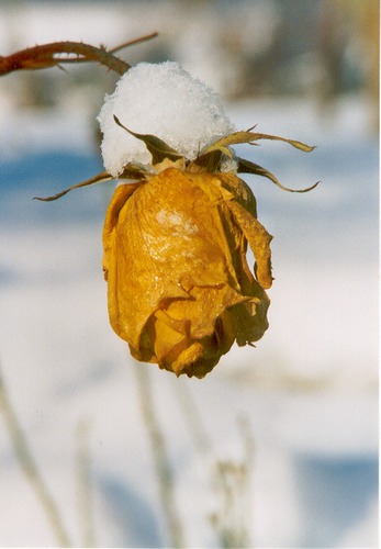 Der Winter kommt schneller, als man denkt!