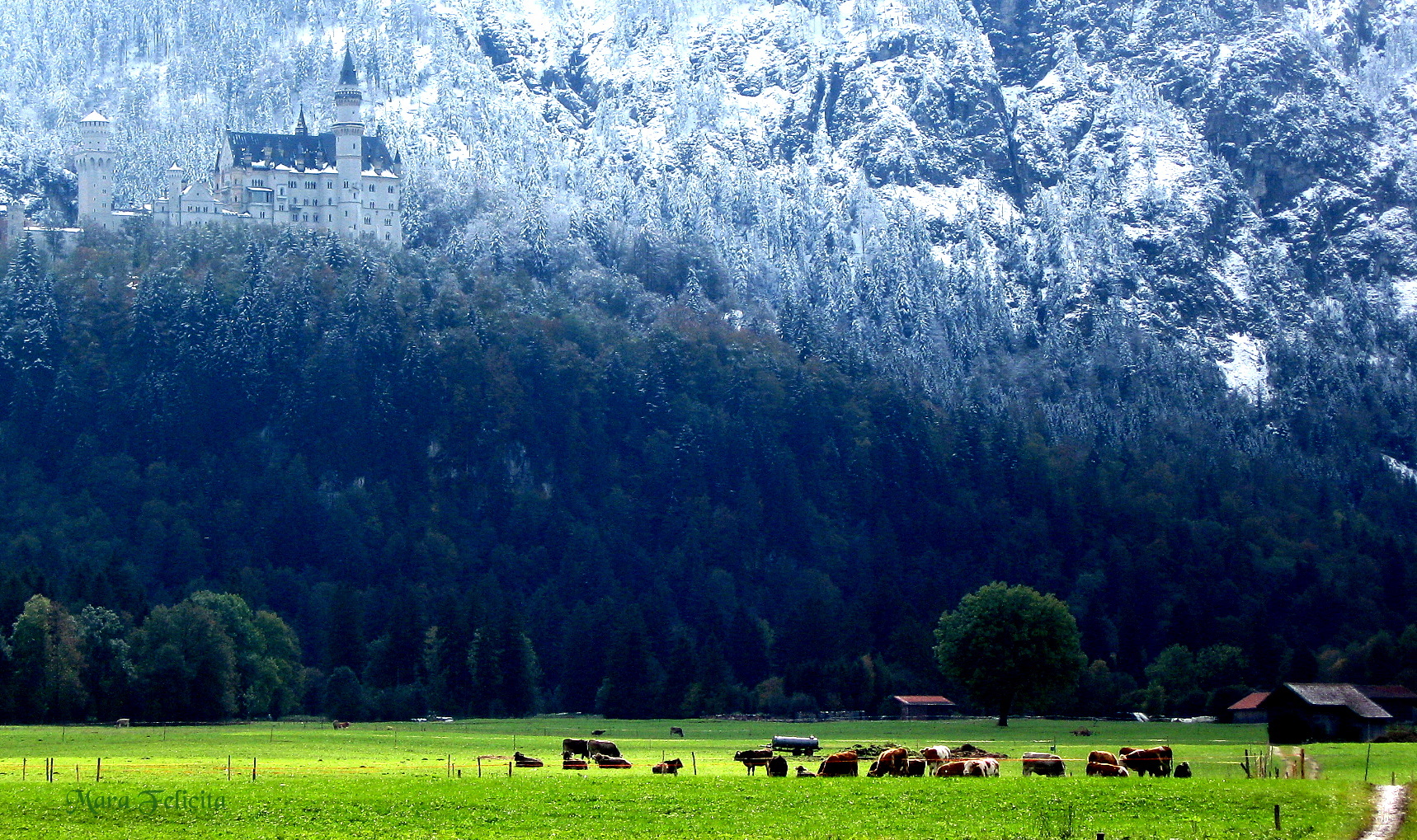 Der Winter kommt von oben..........