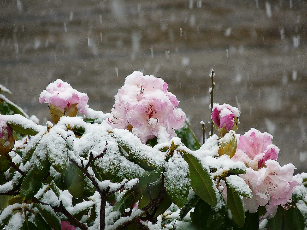 der Winter kommt wieder ...