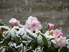 der Winter kommt wieder ...