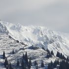 der winter kommt zurück 