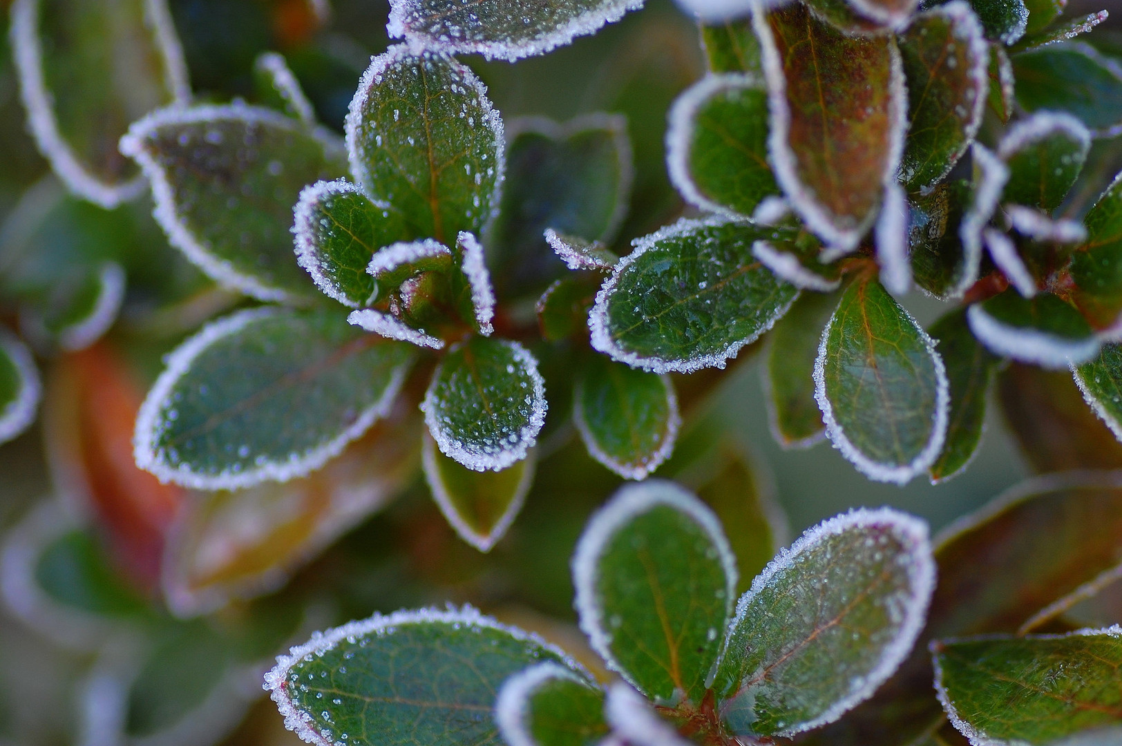 Der Winter kommt zurück ...