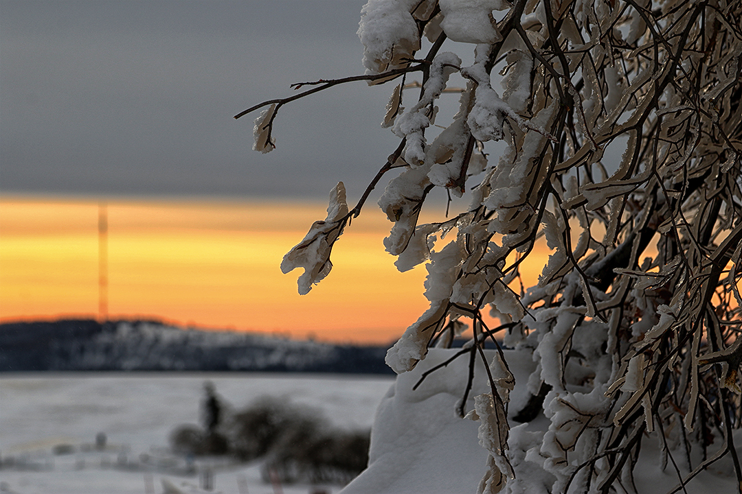 Der Winter kommt zurück.....