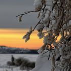 Der Winter kommt zurück.....