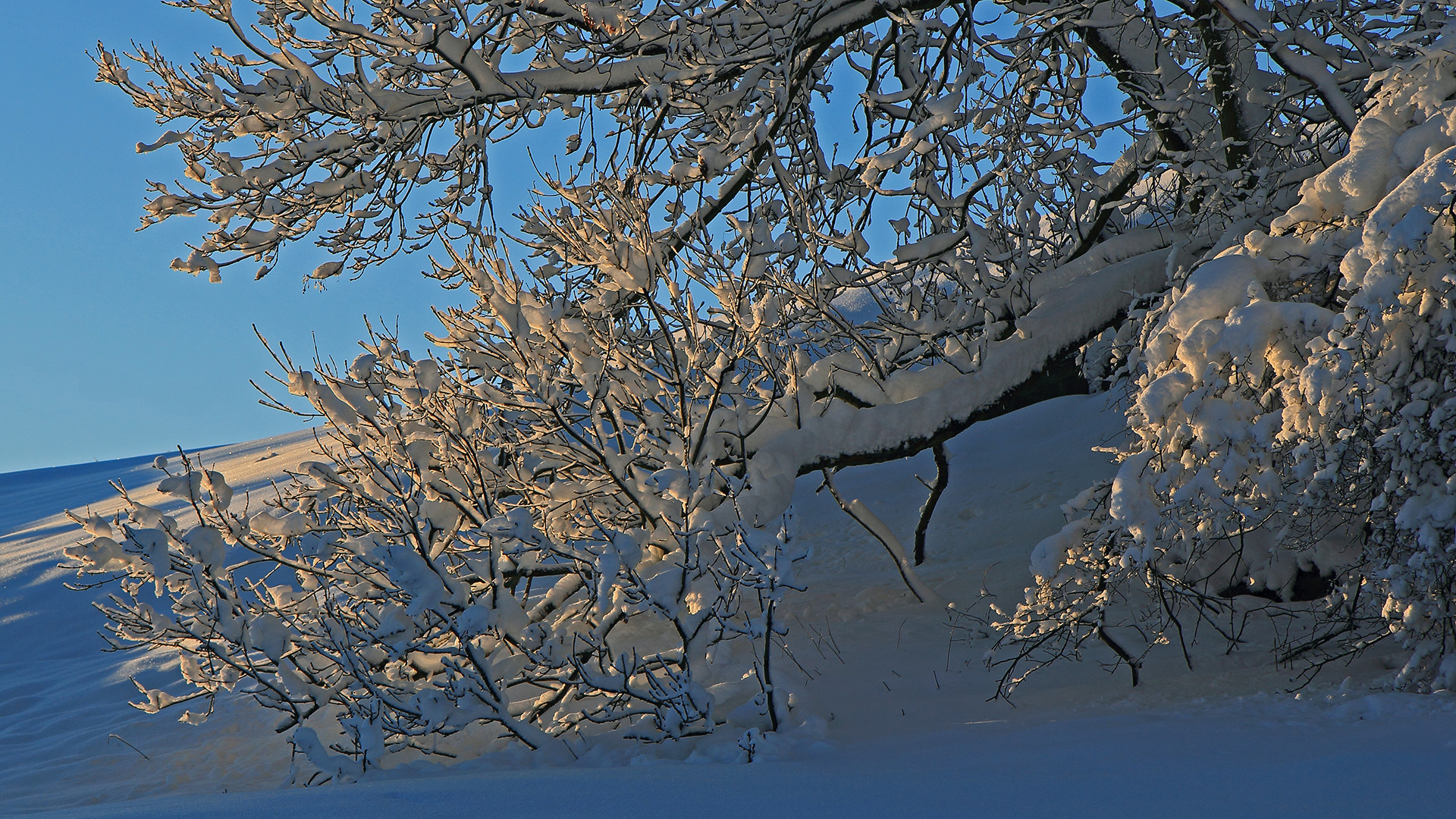 Der "Winter konnte früher oft strahlender" kommen wie ich meine ......