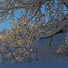 Der "Winter konnte früher oft strahlender" kommen wie ich meine ......