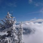 Der Winter kündigt sich an!