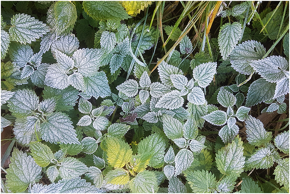 Der Winter kündigt sich an