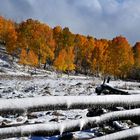 Der Winter küßt den Herbst an der Last-$-Road