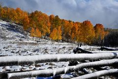 Der Winter küßt den Herbst an der Last-$-Road