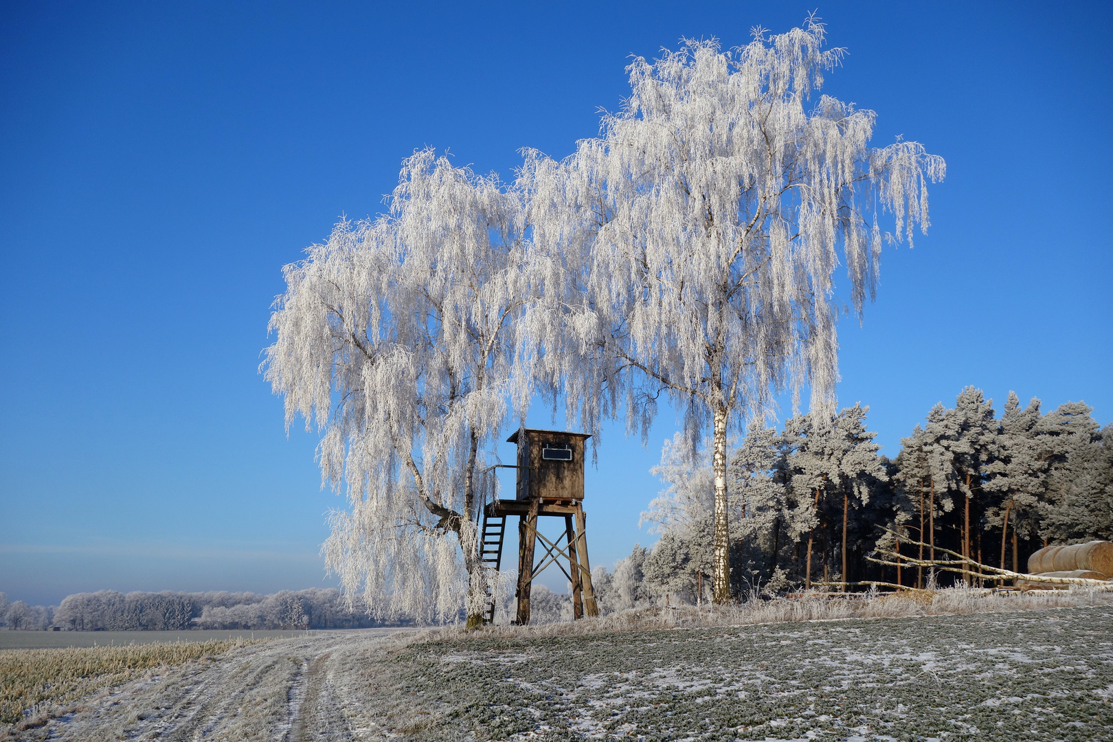 Der Winter lässt grüßen