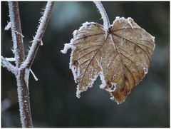 Der Winter lässt grüßen